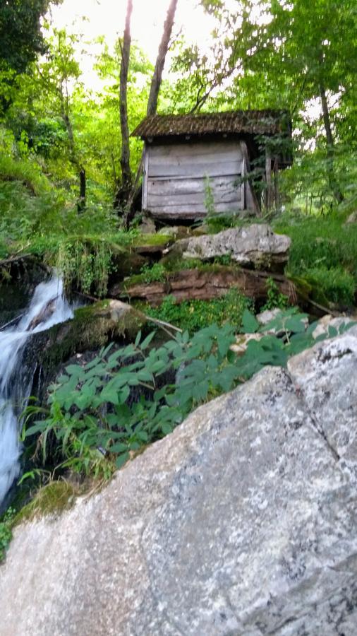 Discover Kinchkha Satsiskvilo Dış mekan fotoğraf